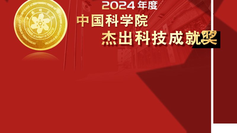 软件测试流程管理工具：构建高效测试体系的利器